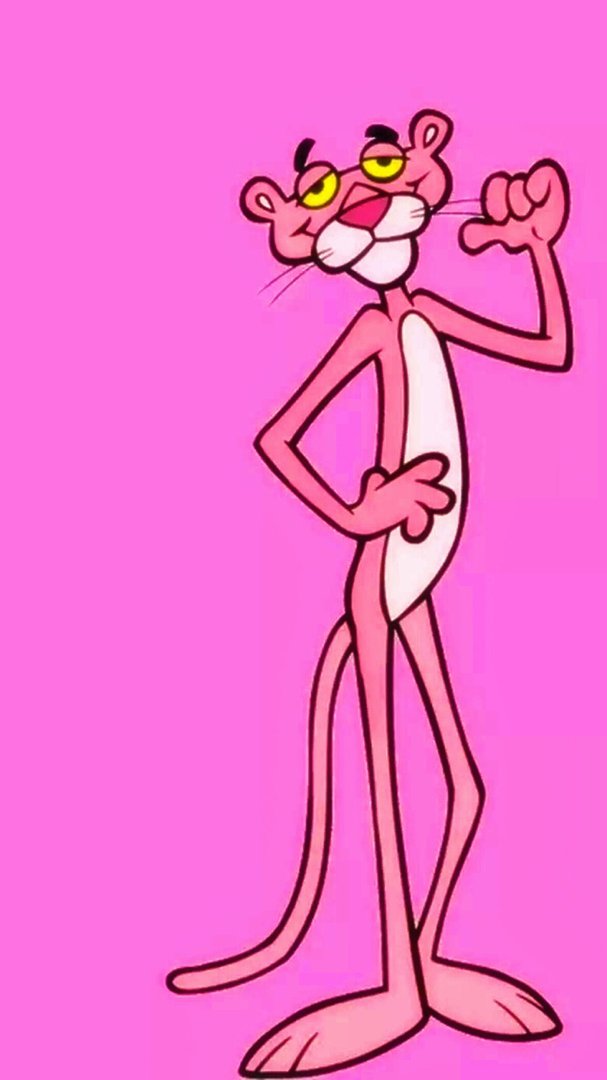 顽皮豹是什么？