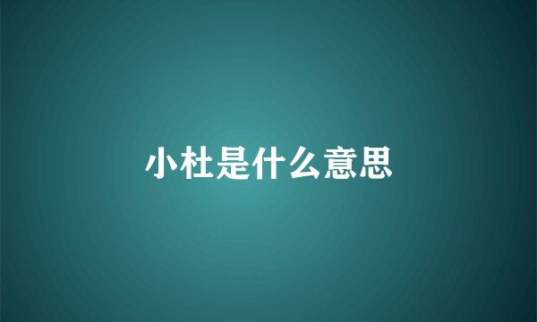 小杜是什么意思