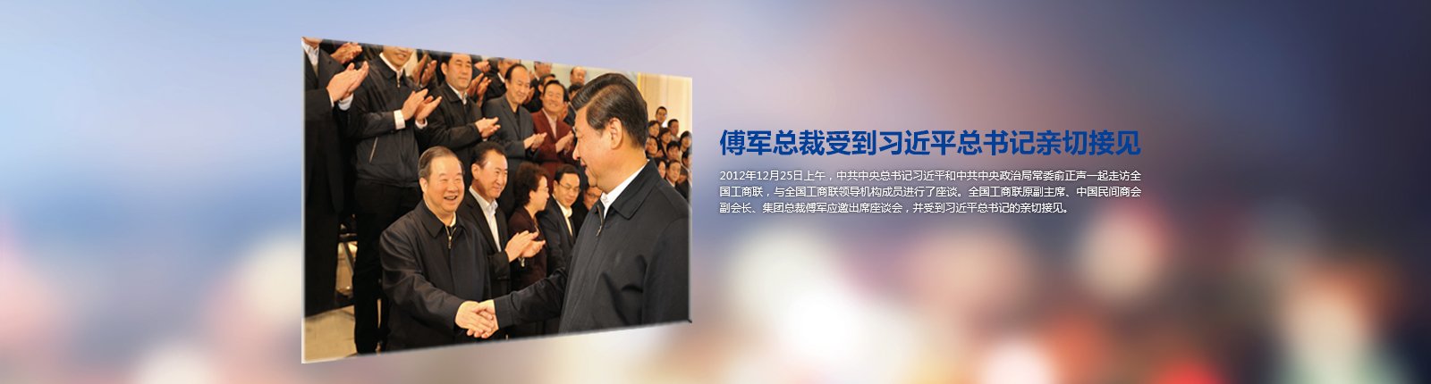 新华联集团的产业板块