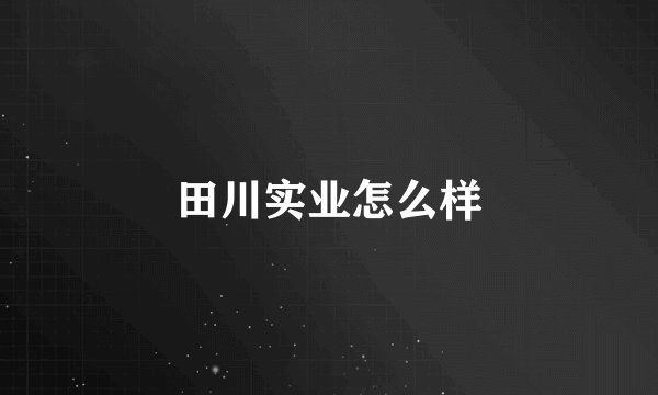 田川实业怎么样