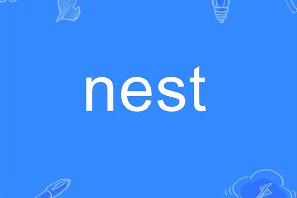 nests怎么读