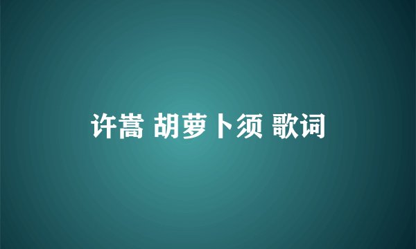 许嵩 胡萝卜须 歌词