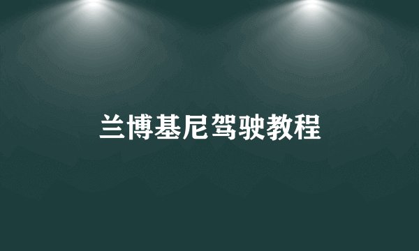 兰博基尼驾驶教程