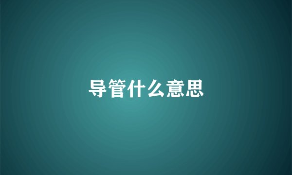 导管什么意思