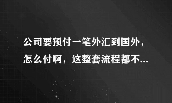 公司要预付一笔外汇到国外，怎么付啊，这整套流程都不懂，先做什么后做什么，请写详细点，万分感谢！
