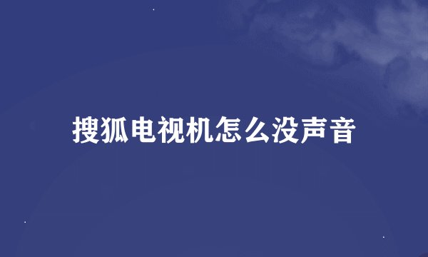 搜狐电视机怎么没声音
