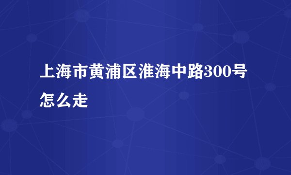 上海市黄浦区淮海中路300号怎么走