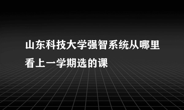 山东科技大学强智系统从哪里看上一学期选的课