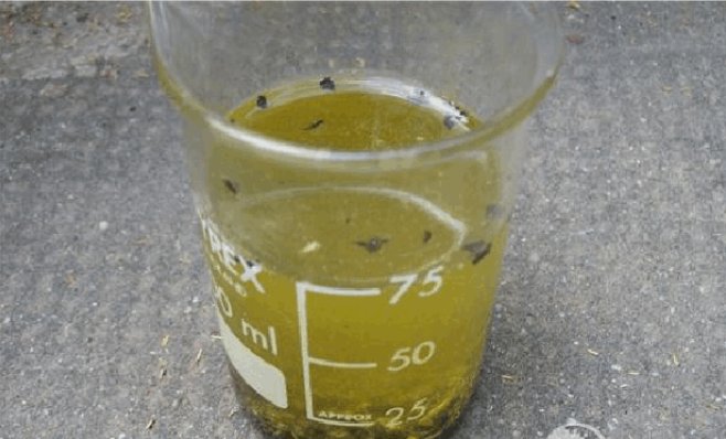 电脑芯片的黄金是怎样提炼出来的？