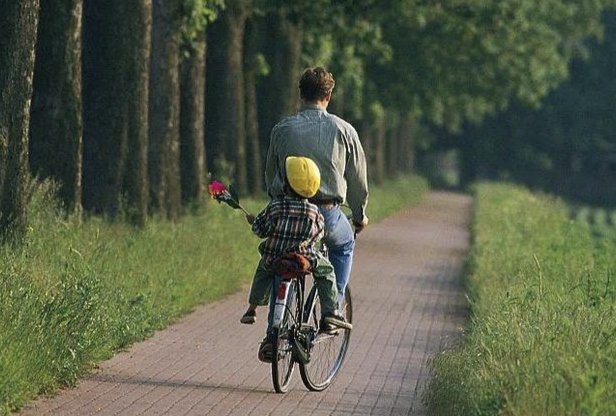 以下哪个成语寓指父亲的教诲