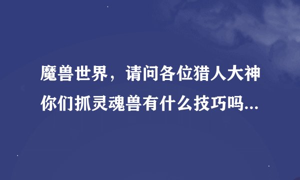 魔兽世界，请问各位猎人大神你们抓灵魂兽有什么技巧吗？还有就是这个版本的猫头鹰和安卡都在哪？我用插件