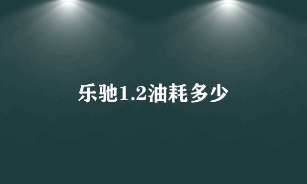 乐驰1.2油耗多少