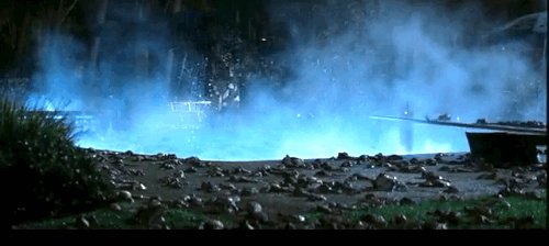 世界各地下过哪些“动物雨”，这些动物雨是如何形成的？