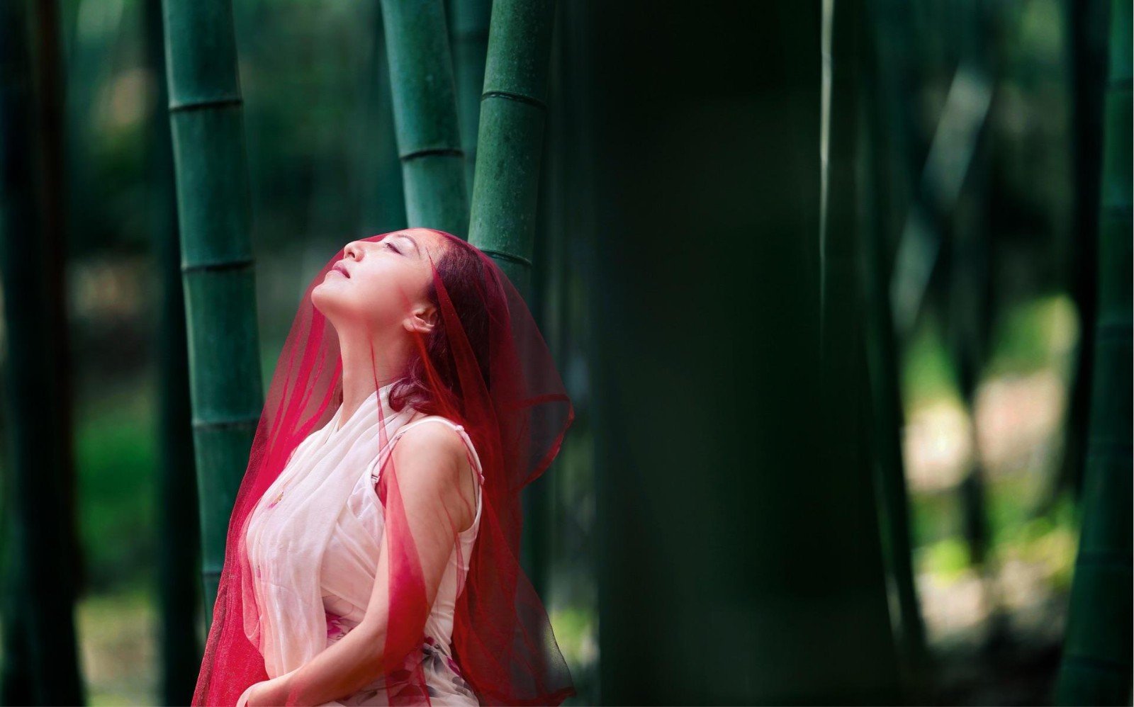 怀春是什么意思