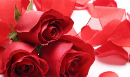 5月14日是什么节日？