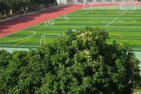 仙桃四中的优秀教师有哪些?