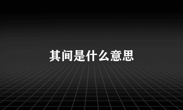 其间是什么意思