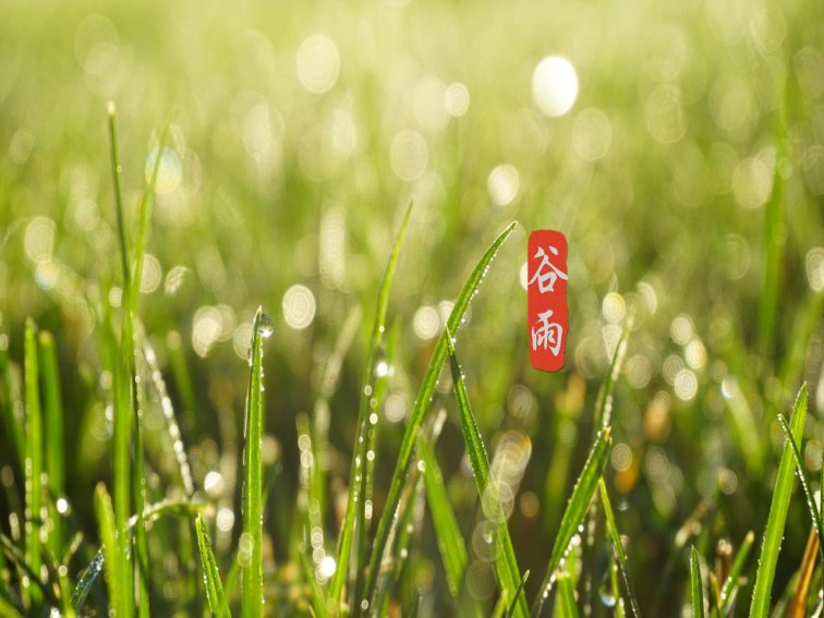 描写谷雨的四句古诗有哪些?