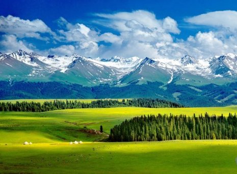 七月的天山的资料