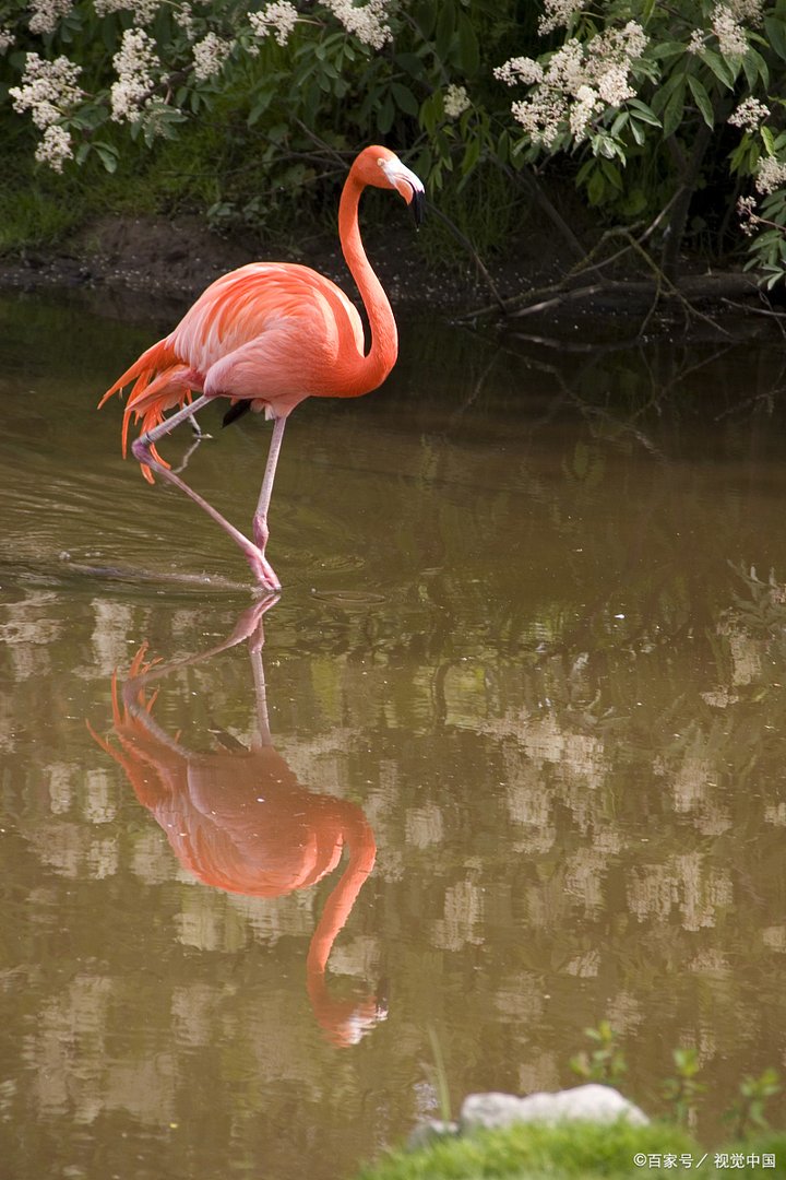 预约离婚怎么预约