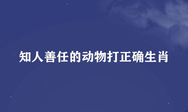 知人善任的动物打正确生肖