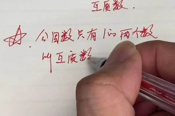 互质是什么意思