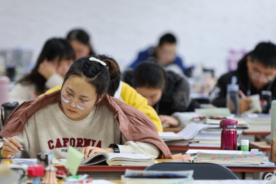 如何在网上查询考研报名信息啊？