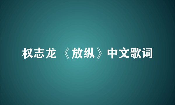 权志龙 《放纵》中文歌词