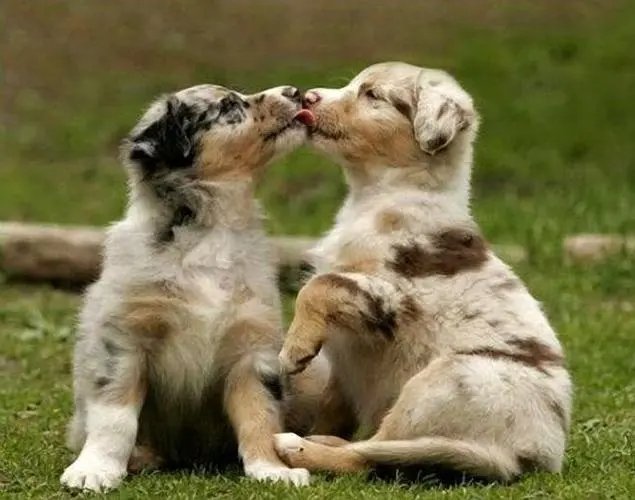 7月6号是什么日子