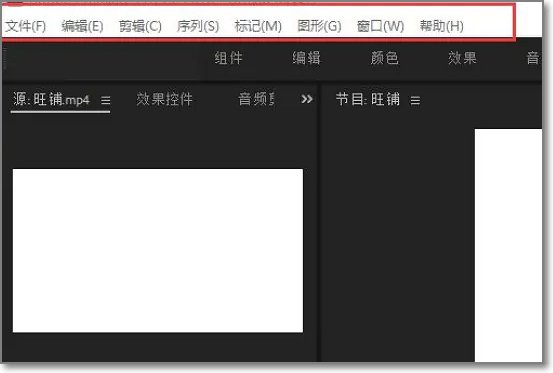 pr九尾狐正能量版2.1怎么用？