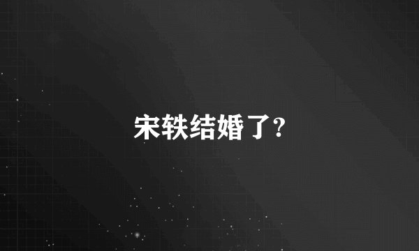 宋轶结婚了?