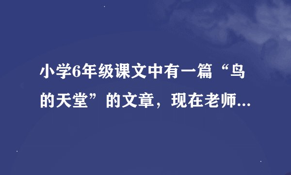 小学6年级课文中有一篇“鸟的天堂”的文章，现在老师要同学们另写一篇关于鸟的天堂的导游词