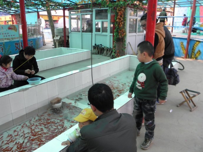 石家庄钓鱼论坛的发展大事记