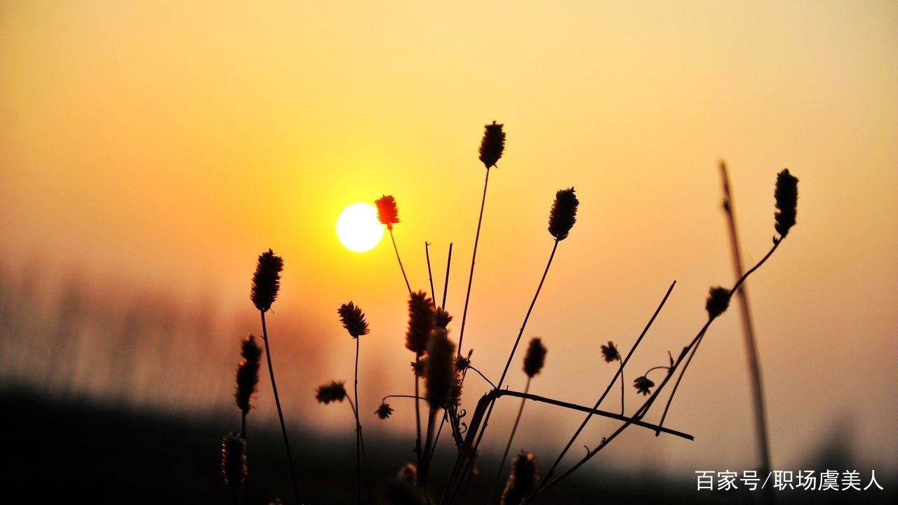 99岁杨振宁寄语广大学子，杨振宁的话对你有帮助吗？