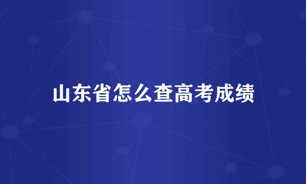 山东省怎么查高考成绩