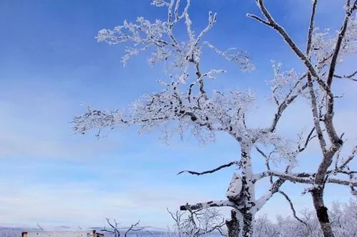 痕的拼音和组词和部首