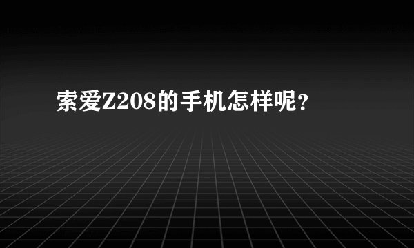 索爱Z208的手机怎样呢？