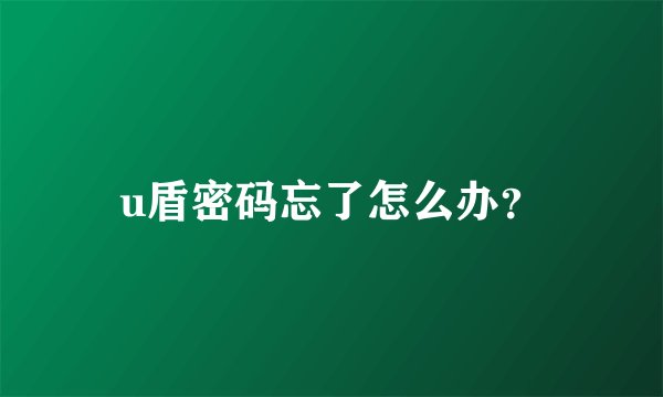 u盾密码忘了怎么办？