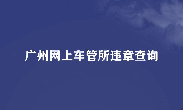 广州网上车管所违章查询