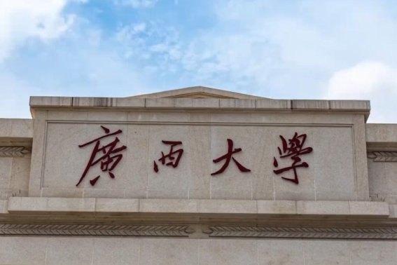 广西大学国际学院学费