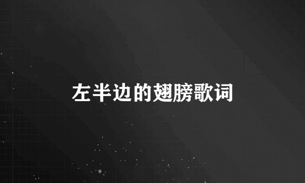 左半边的翅膀歌词