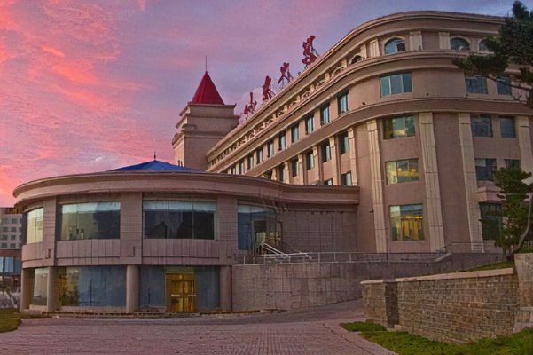 山东有哪些职业技术大学？