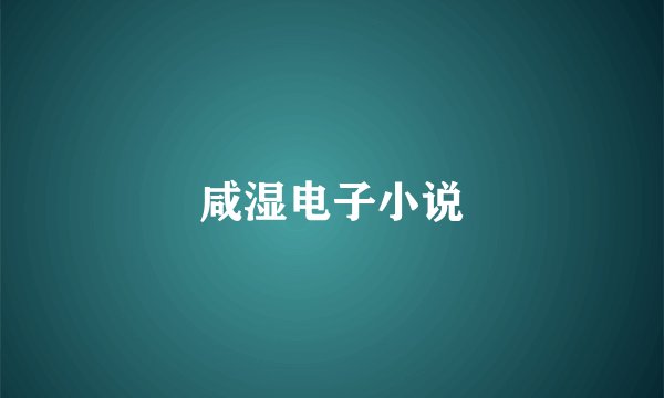 咸湿电子小说
