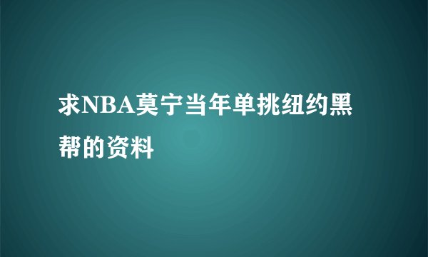 求NBA莫宁当年单挑纽约黑帮的资料