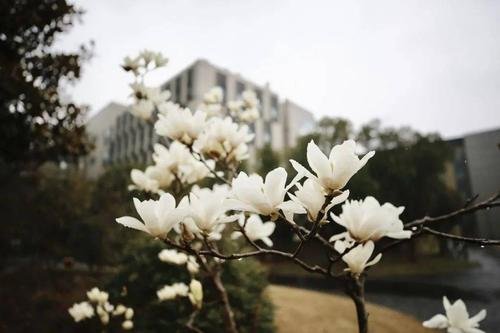运城开放大学是什么学校