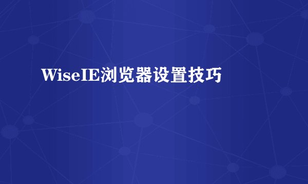 WiseIE浏览器设置技巧