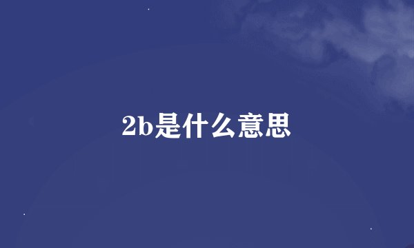 2b是什么意思