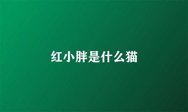 红小胖是什么猫