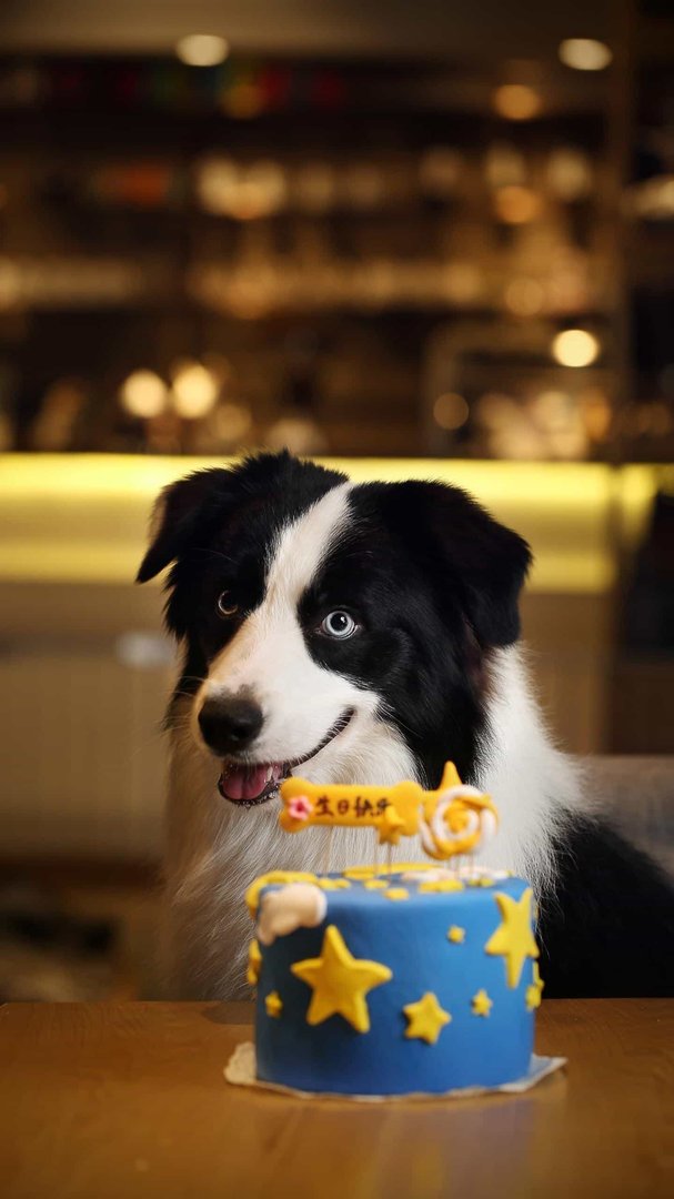 你为什么去购物？ 因为我要买衣服