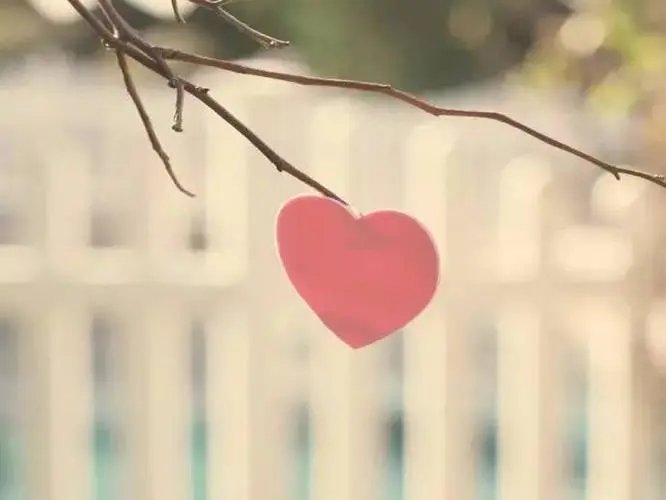 一个人若是把真心给了你，就代表把一切都给了你吗？